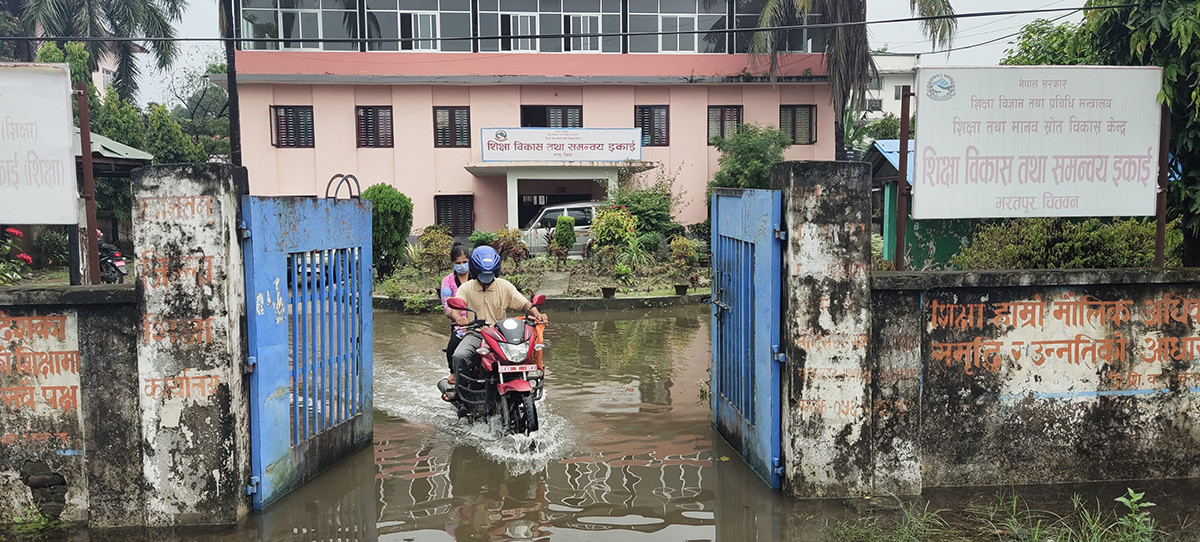 https://www.setopati.com/uploads/shares/2020/sujita/bharatpurr chitwan/bharatpur (1).jpg